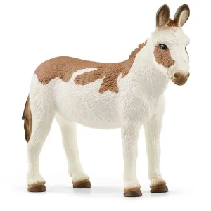 American Spotted Donkey