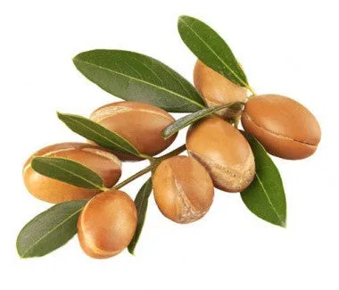 Argan Oil