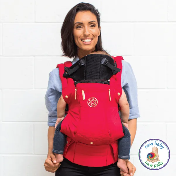 Baby Wearing and Baby Carrier Consultation