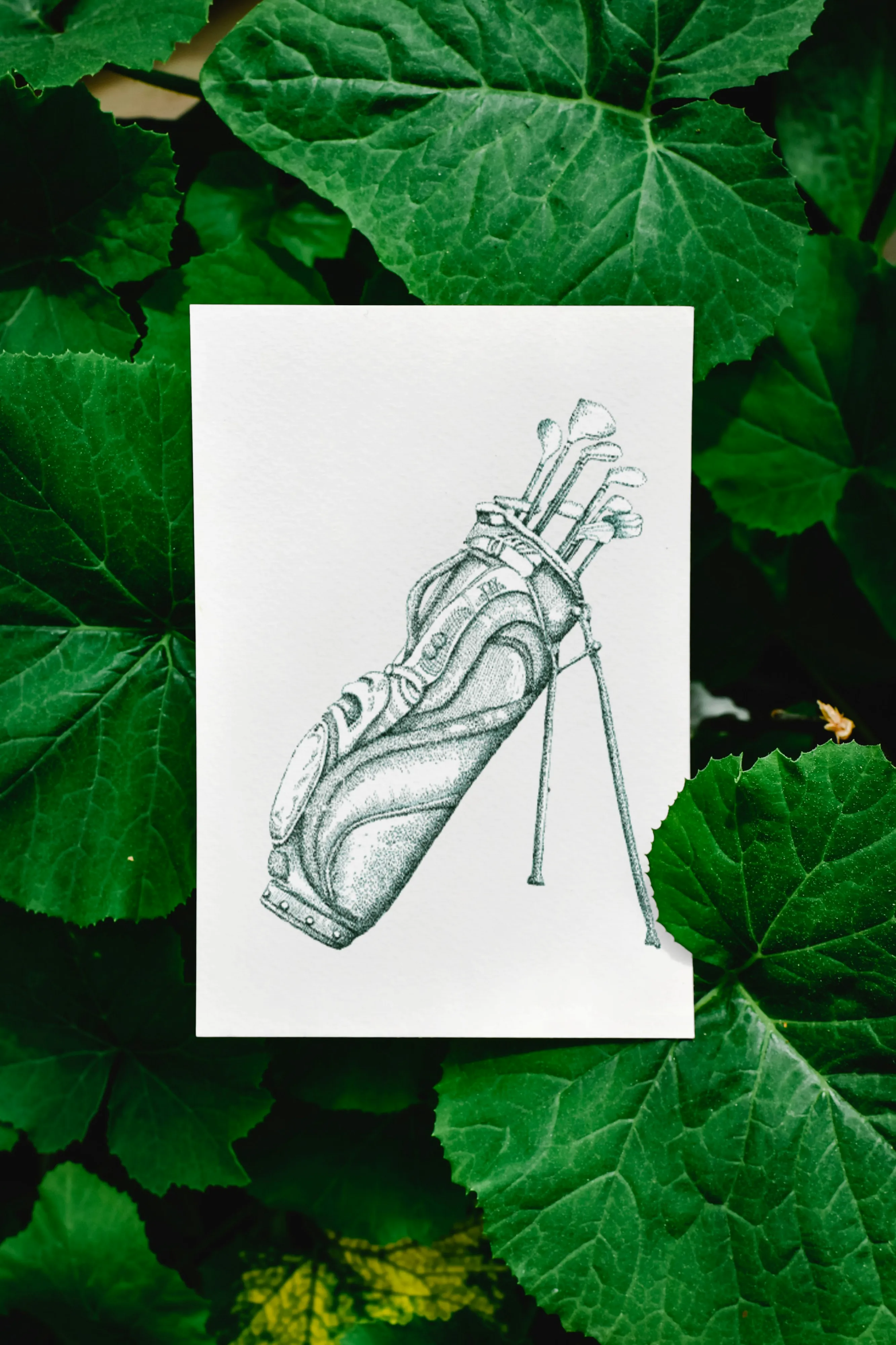 Golf Bag Notecards