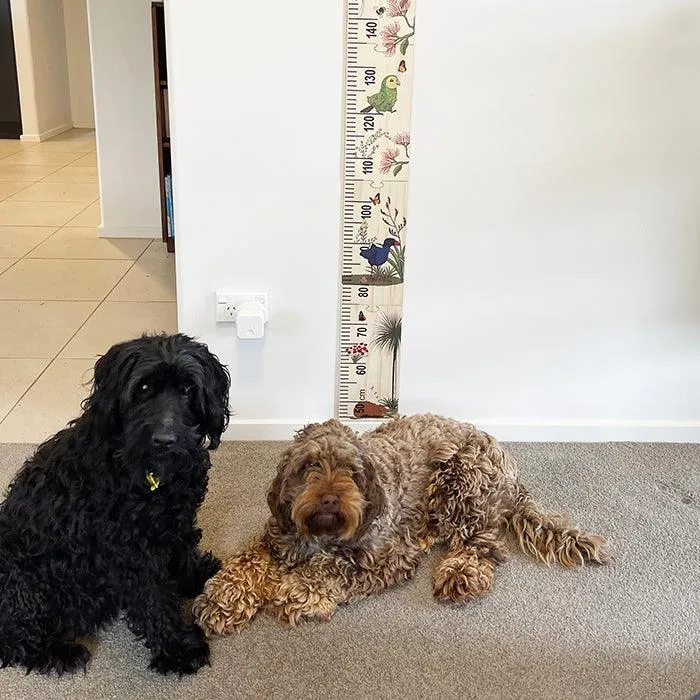 Gorgeous NZ Birds and Flowers Height Chart