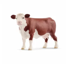 Hereford Cow