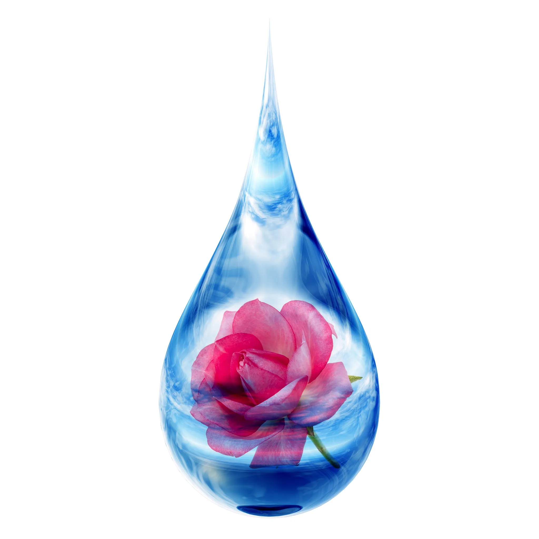 Rose Floral Water