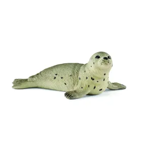 Seal Cub