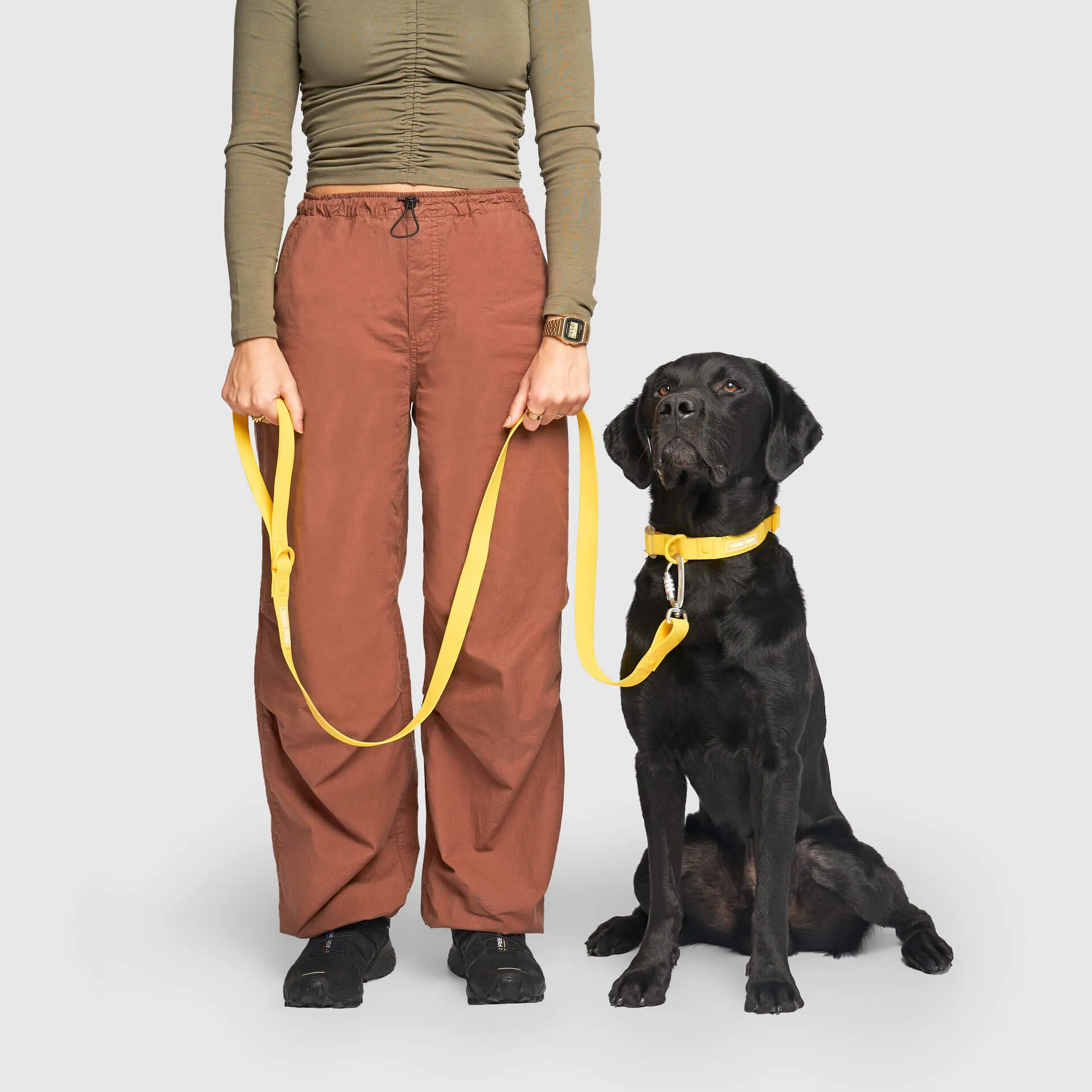 Waterproof Leash