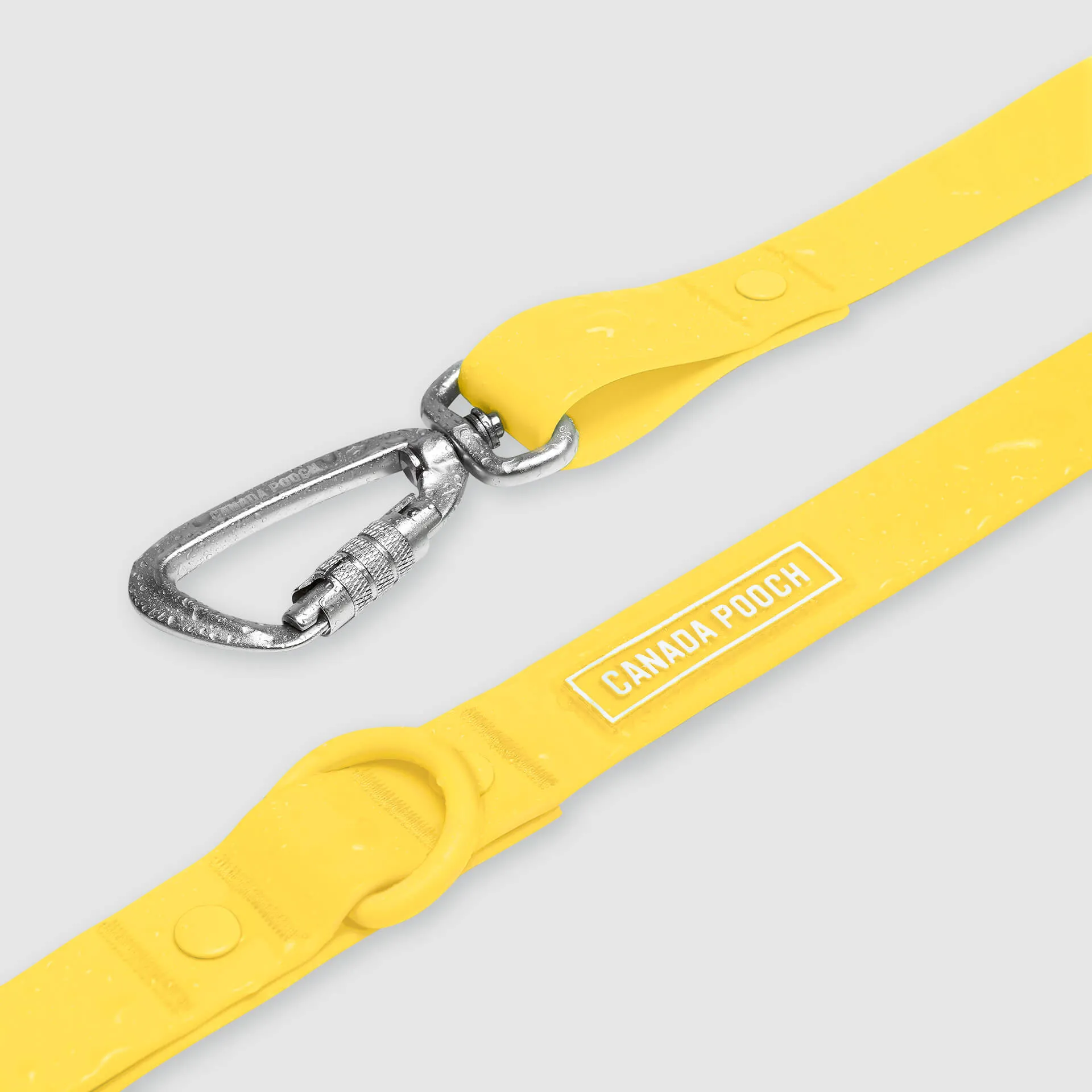 Waterproof Leash