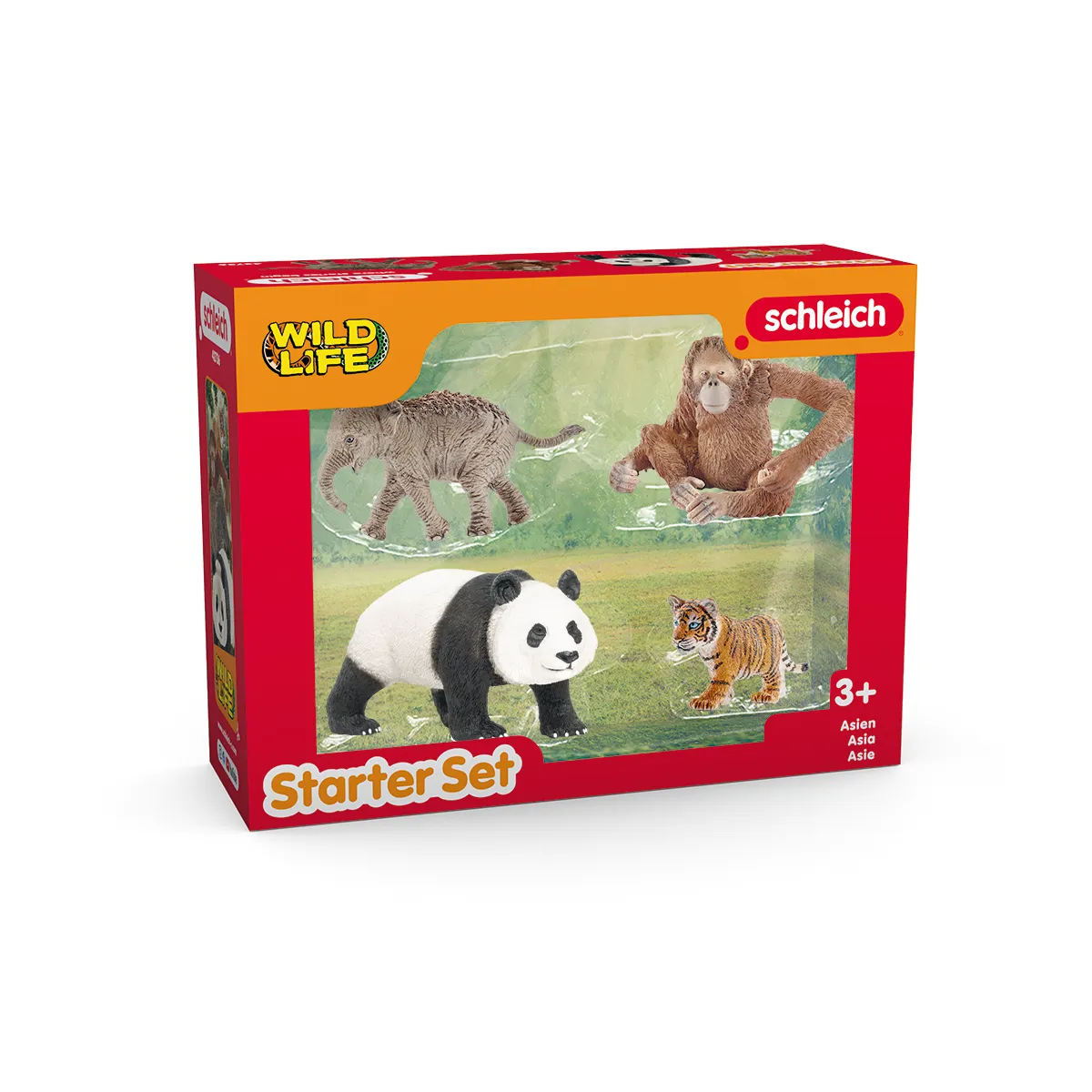 Wild Life Asia Starter Set