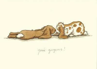 You're Gorgeous Greetings Card - TBM025